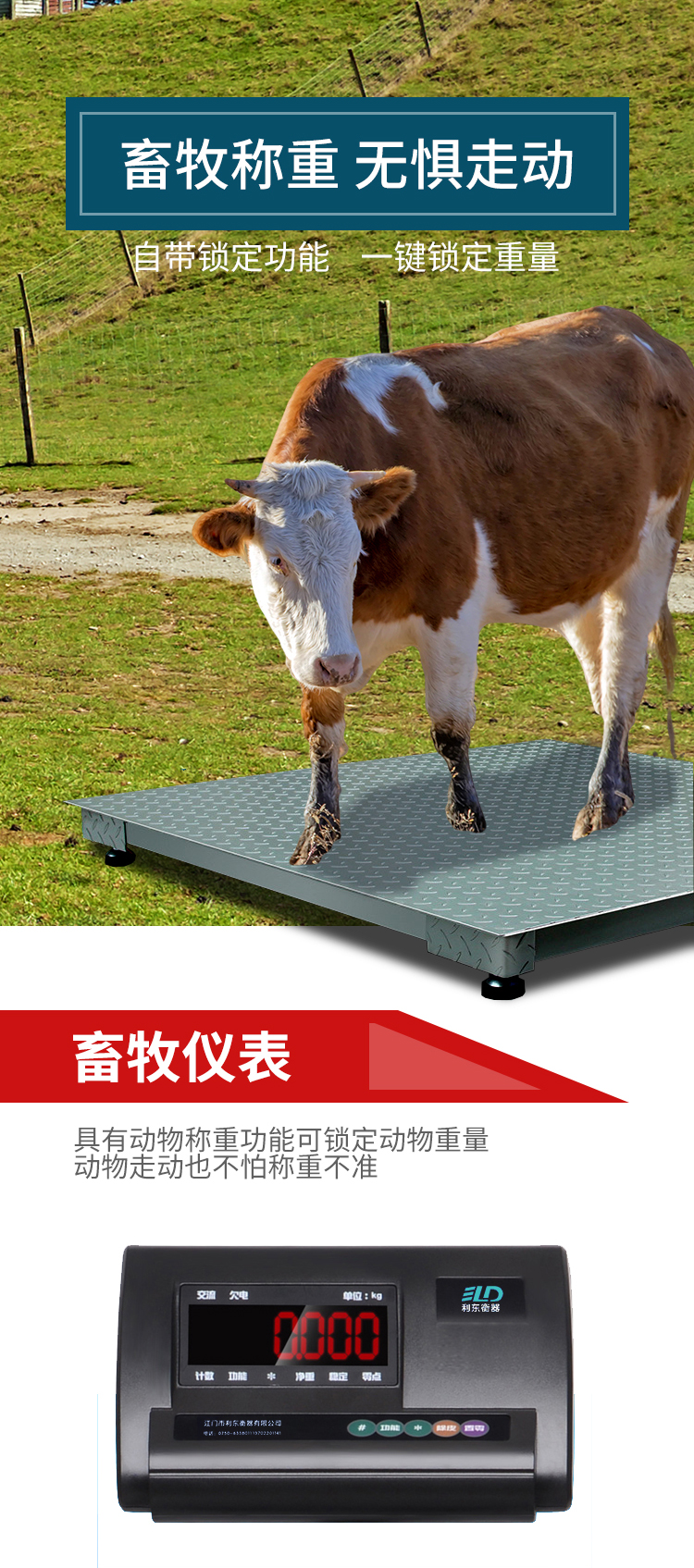 1619747684470622.jpg 地磅_03.jpg